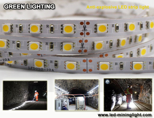 反explsoive 1500のlum適用範囲が広いLEDのストリップは防水60pcs各メートルを導いた