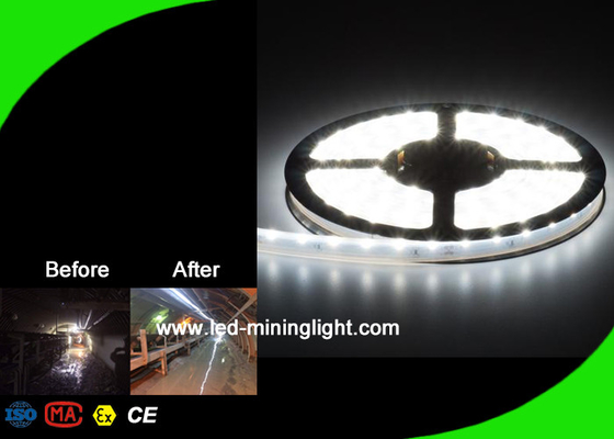16W/M LEDの適用範囲が広い滑走路端燈の高い内腔LEDのリボンはOEM ODMサービスをつける