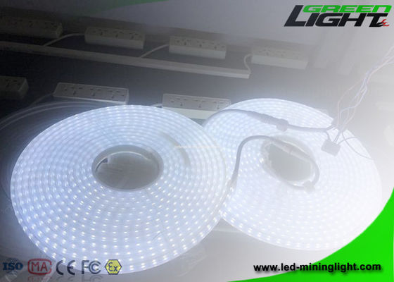 防水IP68 24V 20mは5050複地雷線ライトを導きました