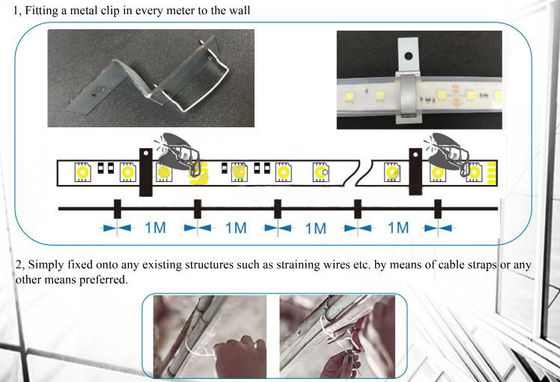 防水IP68 24V 20mは5050複地雷線ライトを導きました